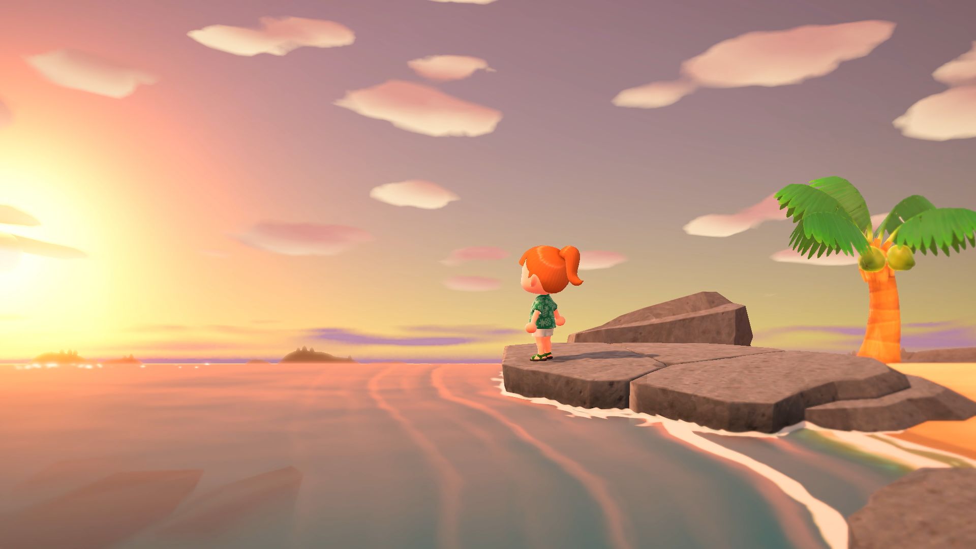 Nintendo Switch Animal Crossing: New Horizons